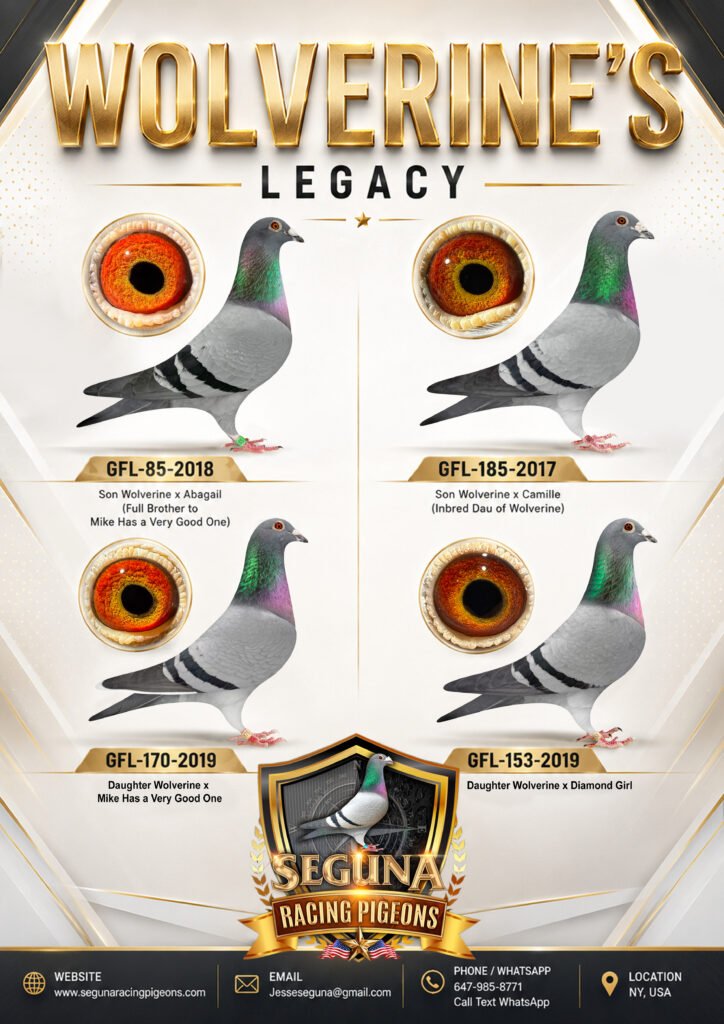 Wolverines Legacy
